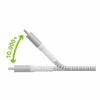 Billede af dbramante1928 re-charge 2m USB-C to Lightning