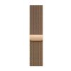 Billede af Apple Watch Series 10 GPS + Cellular 42mm Natural Titanium Case with Natural Milanese Loop