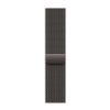 Billede af Apple Watch Series 10 GPS + Cellular 42mm Slate Titanium Case with Slate Milanese Loop